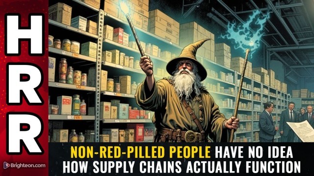 Non-red-pilled people have NO IDEA how SUPPLY CHAINS actually function