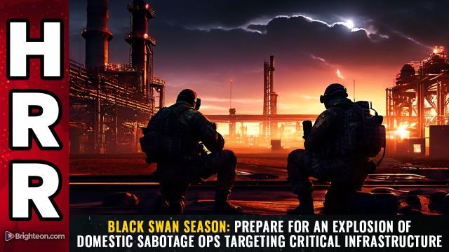 BLACK SWAN SEASON: Prepare for an explosion of domestic sabotage ops targeting critical infrastructure