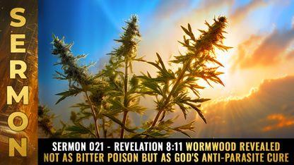 Mike Adams Sermon #021 - Revelation 8:11 Wormwood revealed not as bitter poison but as God's anti-parasite CURE