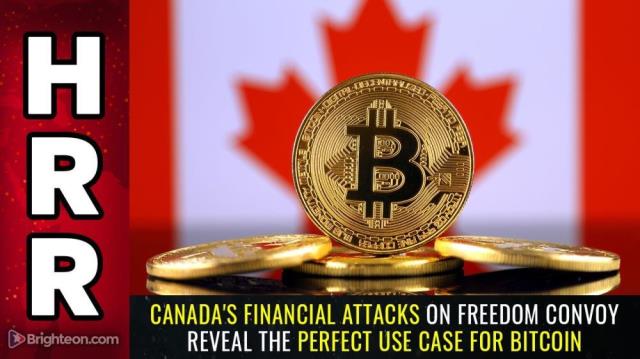 Canada's financial ATTACKS on freedom convoy reveal the PERFECT use case for BITCOIN