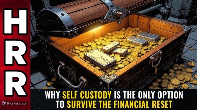 Why SELF CUSTODY is the only option to survive the financial reset