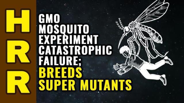 GMO mosquito experiment CATASTROPHIC failure, breeds super mutant insects