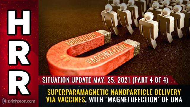 Part 4 - Superparamagnetic nanoparticle delivery via vaccines, with "magnetofection" of DNA