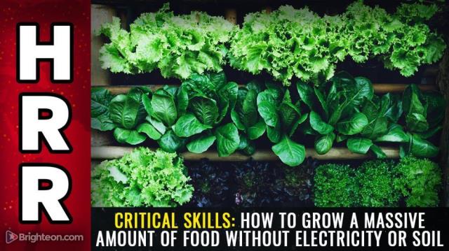 CRITICAL SKILLS: How to grow a massive amount of food without electricity or soil