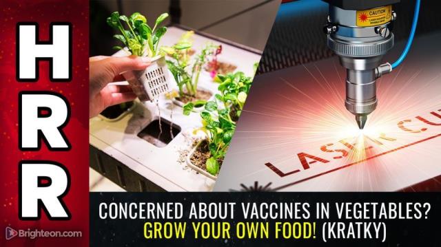 Concerned about VACCINES in VEGETABLES? Grow your own food! (Kratky)