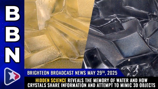 HIDDEN SCIENCE reveals the MEMORY of water and how crystals share information and attempt to MIMIC 3D objects
