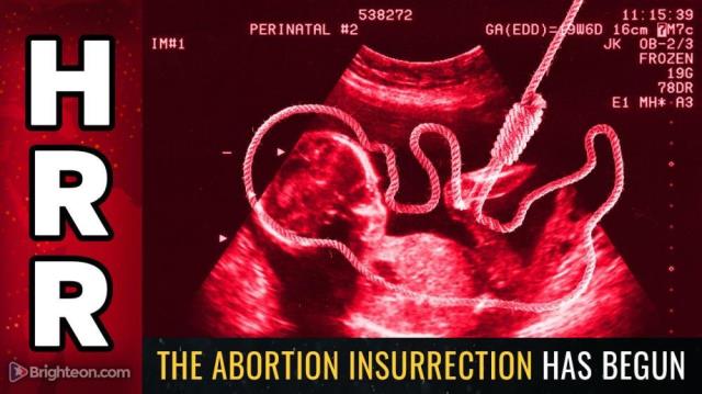 The Abortion INSURRECTION has Begun