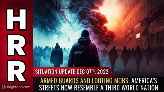 Armed guards and looting mobs: America's streets now resemble a third world nation