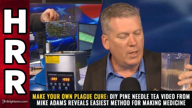MAKE YOUR OWN PLAGUE CURE: DIY pine needle tea video from Mike Adams reveals easiest method for making medicine