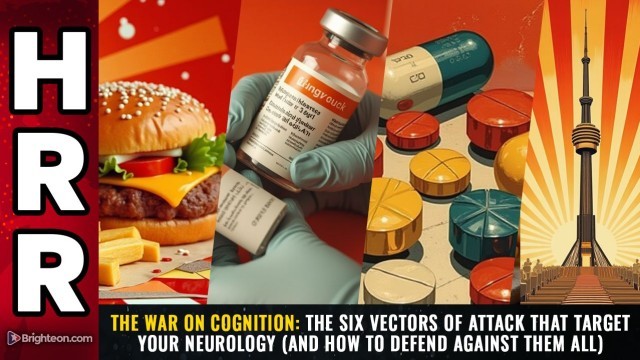 The WAR on COGNITION: The six vectors of attack that target your neurology (and how to defend against them all)