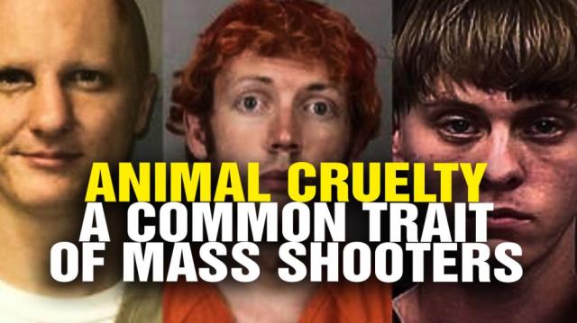 ANIMAL CRUELTY a common trait of mass shooters