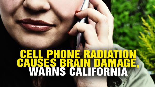 CELL PHONE RADIATION causes bran damage, warns California