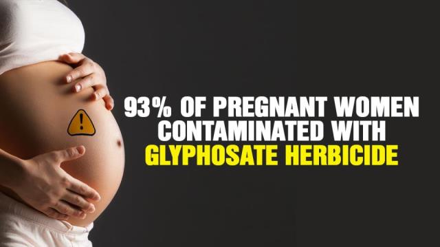 93% of PREGNANT women contaminated with GLYPHOSATE herbicide