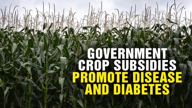 Government crop SUBSIDIES promote DISEASE and diabetes