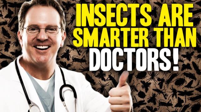 INSECTS are smarter than DOCTORS (and other medicine news)