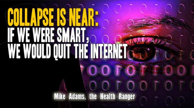 COLLAPSE is near: If we were smart, we would quit the internet