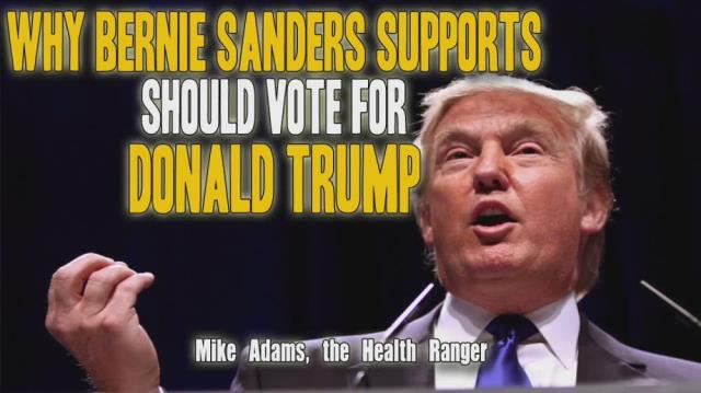 Why Bernie Sanders supporters should vote for Donald Trump