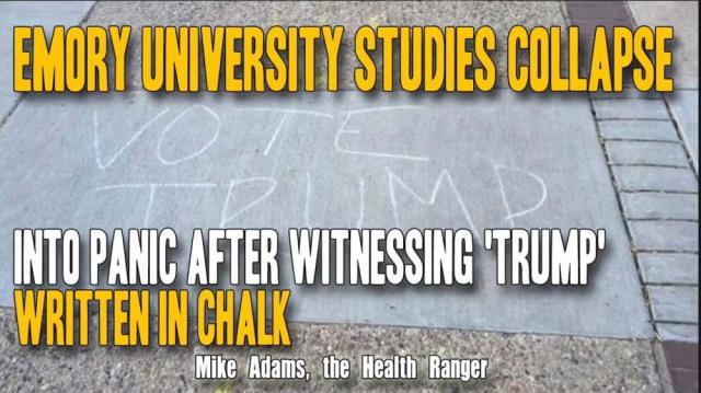 Emory University studies collapse into panic after witnessing ‘Trump' written in chalk