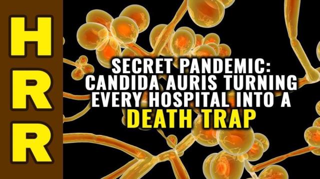 SECRET PANDEMIC: Candida auris turning every hospital into a DEATH TRAP