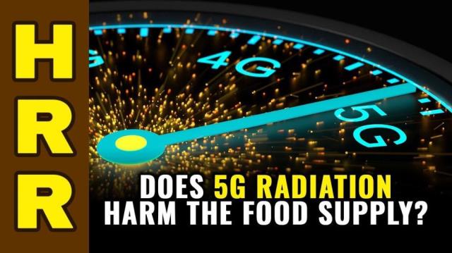 Does 5G radiation harm the food supply?