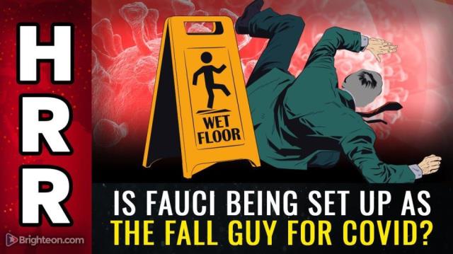 Is Fauci being set up as the FALL GUY for covid?