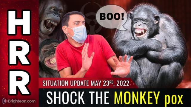 SHOCK THE MONKEY pox