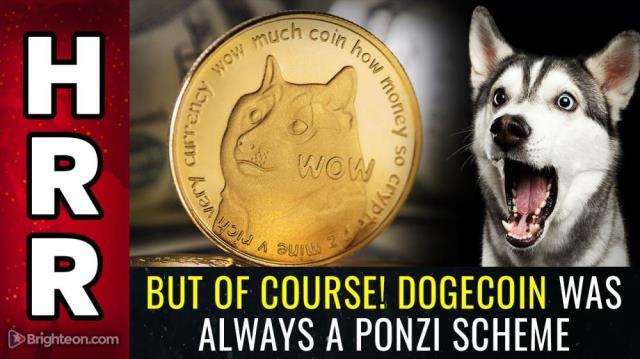 But of course! Dogecoin was ALWAYS a PONZI scheme