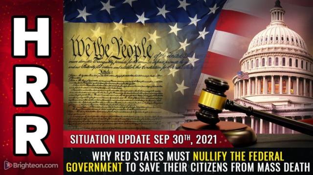 Why red states must NULLIFY the federal government to save their citizens from mass death