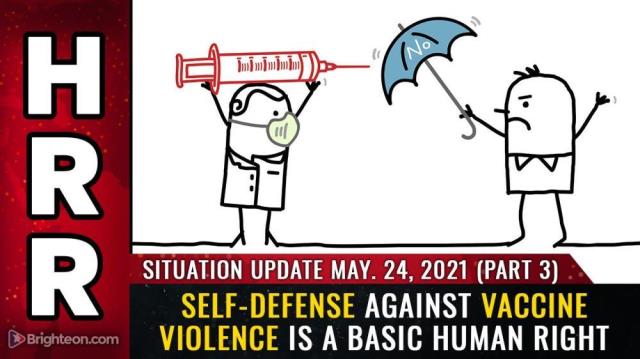 Situation Update May 24th, 2021 Part 3 - Self-defense against VACCINE VIOLENCE is a basic human right