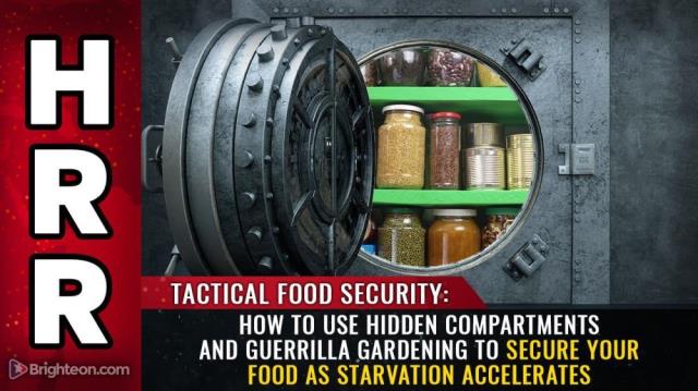 TACTICAL FOOD SECURITY: How to use hidden compartments and guerrilla gardening to secure your food as starvation accelerates