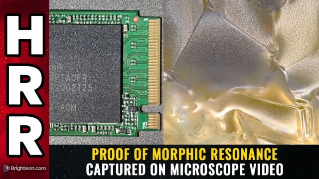 PROOF of morphic resonance captured on microscope video