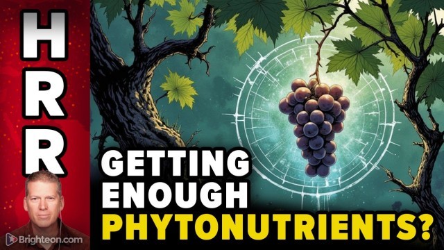 Are you getting enough PHYTONUTRIENTS?