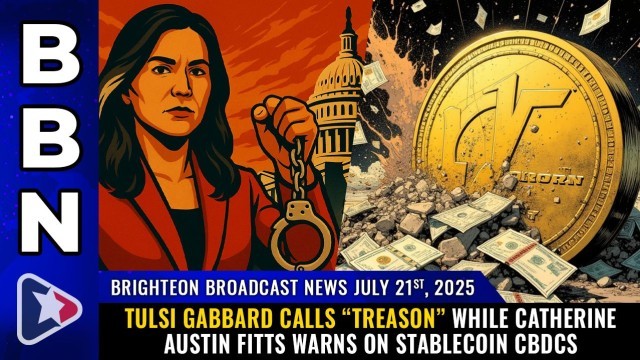 Tulsi Gabbard calls “TREASON” while Catherine Austin Fitts warns on STABLECOIN CBDCs
