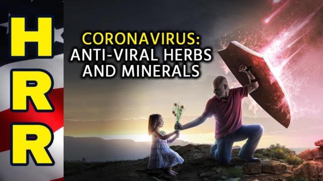 CORONAVIRUS: Anti-viral herbs and minerals