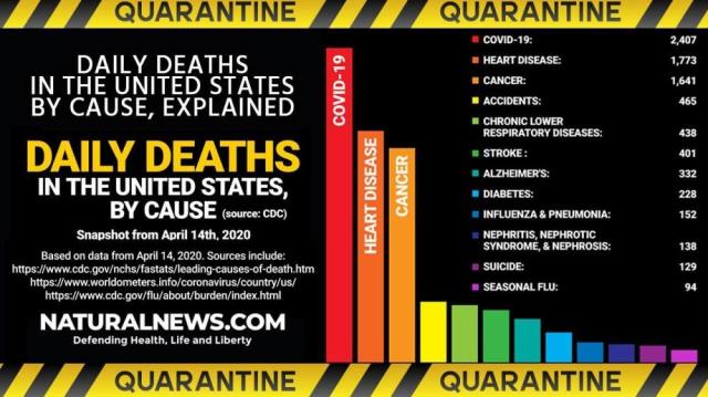 Daily deaths in the United States by cause, EXPLAINED