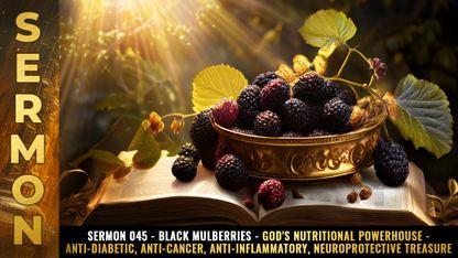 Mike Adams Sermon #045 - Black Mulberries - God's nutritional powerhouse - anti-diabetic, anti-cancer, anti-inflammatory, neuroprotective TREASURE