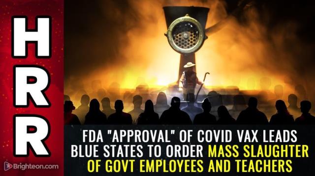 FDA "approval" of covid vax leads BLUE states to order mass slaughter of govt employees and teachers