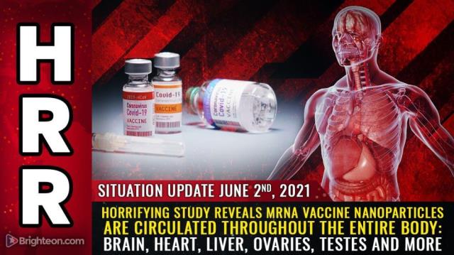 HORRIFYING STUDY reveals mRNA vaccine nanoparticles are circulated throughout the entire body: Brain, heart, liver, ovaries, testes and more