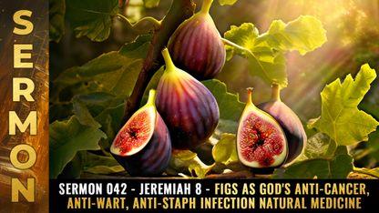 Mike Adams Sermon #042 - Jeremiah 8 - FIGS as God's anti-cancer, anti-wart, anti-staph infection natural medicine