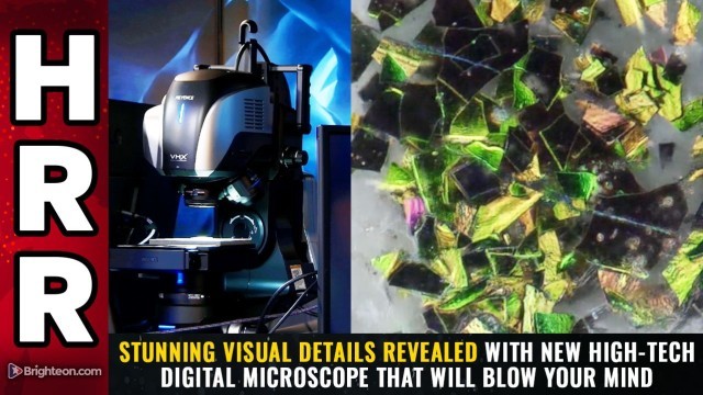 STUNNING VISUAL DETAILS revealed with new high-tech digital microscope that will blow your mind