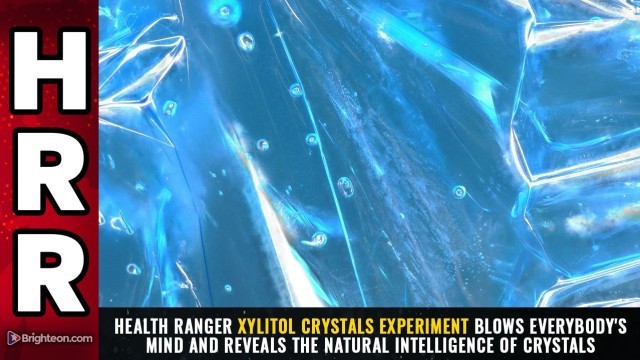 Health Ranger XYLITOL CRYSTALS experiment blows everybody's mind and reveals the natural intelligence of crystals