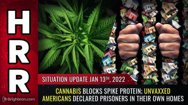 Cannabis blocks SPIKE PROTEIN; Unvaxxed Americans declared PRISONERS in their own homes