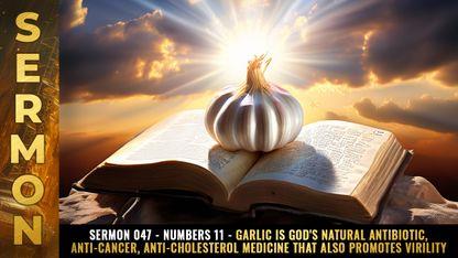 Mike Adams Sermon #047 - Numbers 11 - GARLIC is God's natural antibiotic, anti-cancer, anti-cholesterol medicine that also promotes VIRILITY