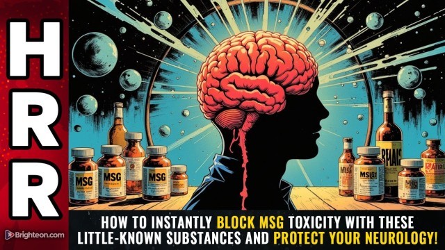 How to instantly BLOCK MSG TOXICITY with these little-known substances and PROTECT your neurology!