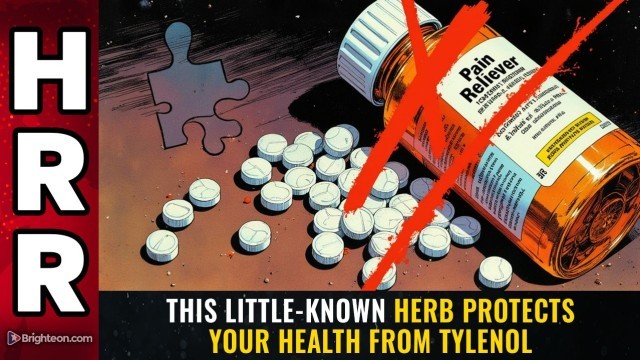 This little-known herb protects your health from TYLENOL