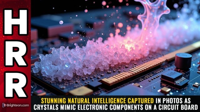 Stunning natural intelligence captured in photos as crystals mimic electronic components on a circuit board